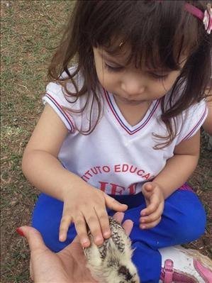Amostra Cultural Infantil