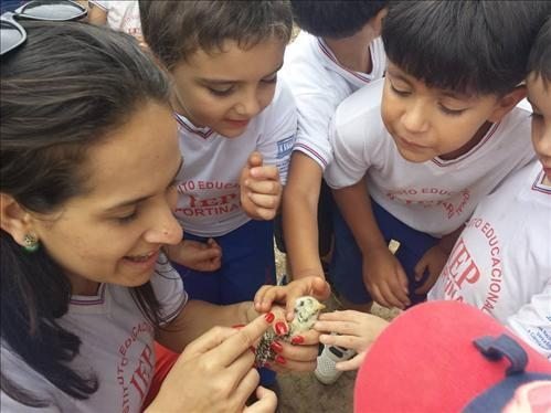 Amostra Cultural Infantil