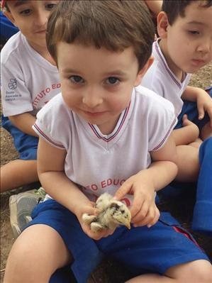 Amostra Cultural Infantil