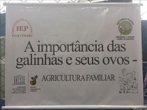 Amostra Cultural Infantil