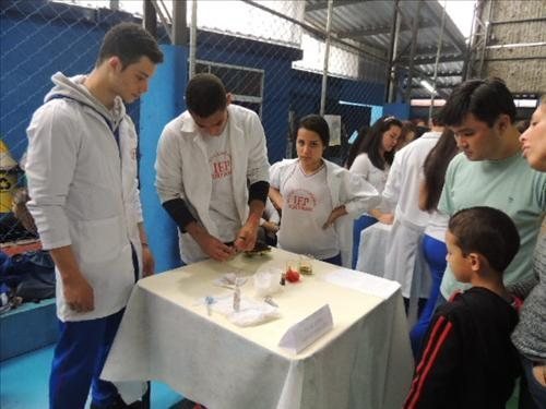 Feira de ciências 2014