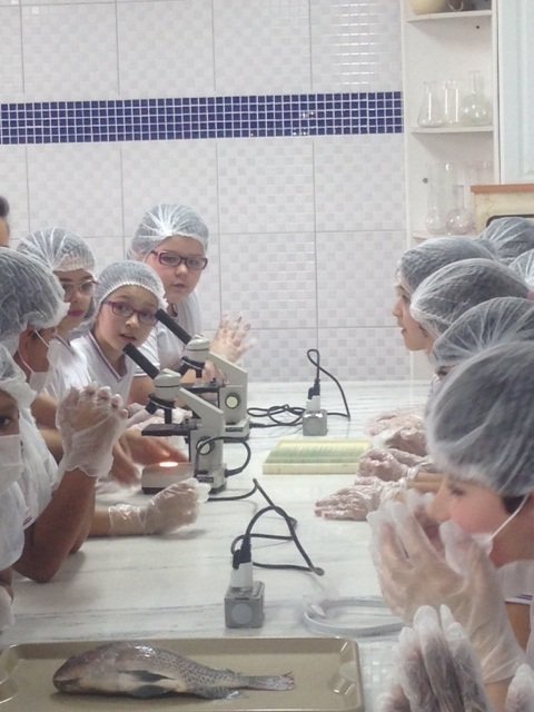 Laboratório de FIsica e Química