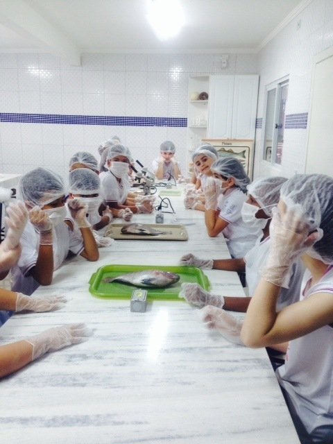 Laboratório de FIsica e Química
